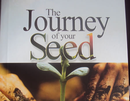 Arguments for and against sowing seeds in the Church.